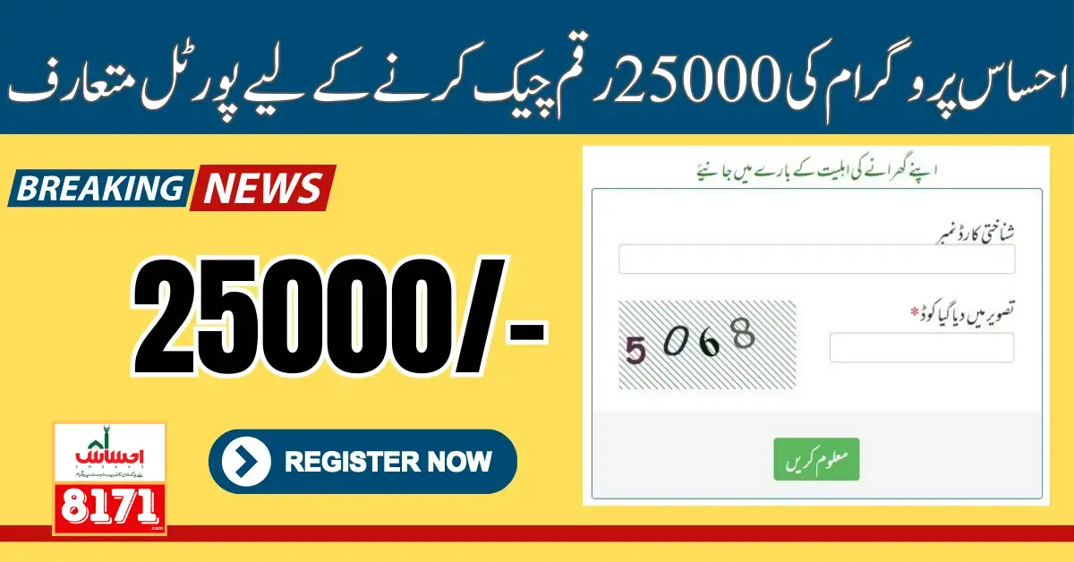 Portal For Checking Ehsaas 25000 Payment Online Easy Method