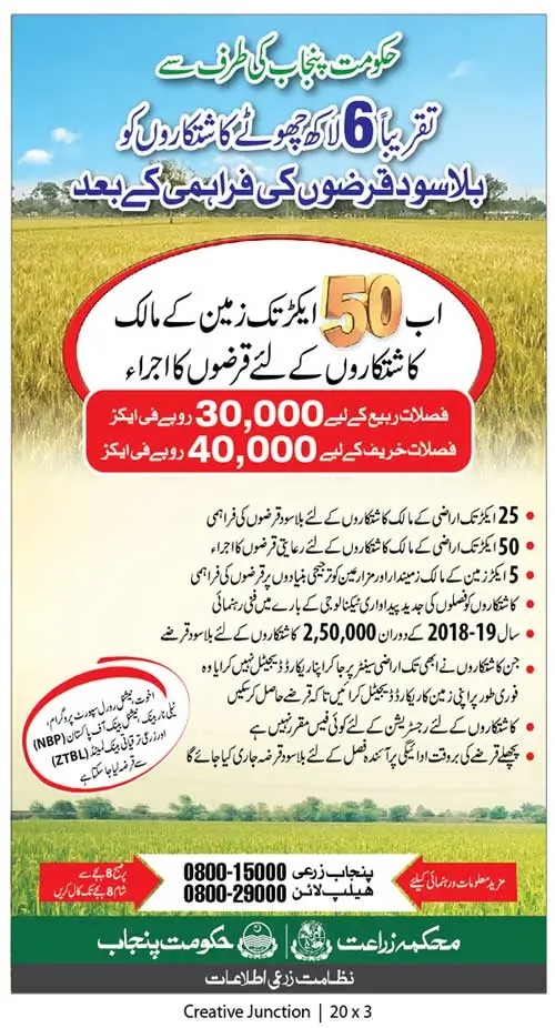 Subsidy On Cotton Seeds By Government Of Punjab Start From 8 August 2024