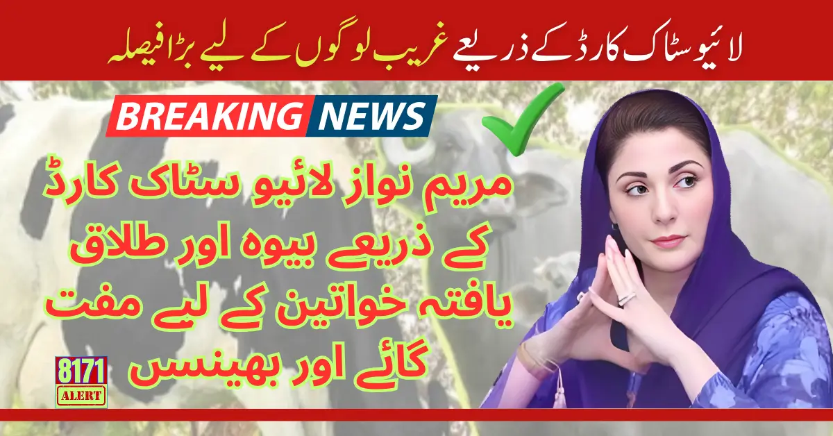 Free Cows and Buffaloes for Widows and Divorced Women By Maryam Nawaz Live Stock Card