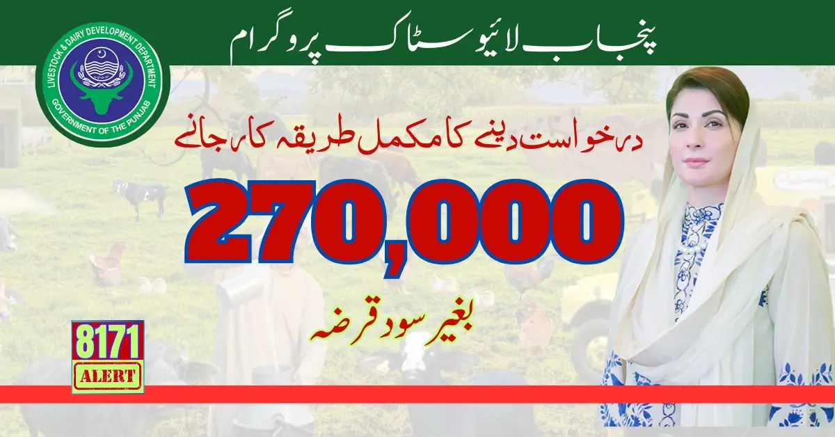 Eligibility & Application Process For Livestock Cards By Maryam Nawaz 2024