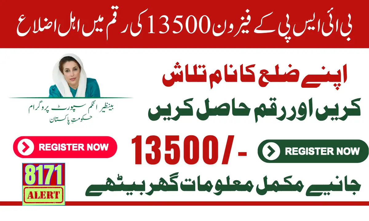 Benazir Support Initiative 2025 Districts